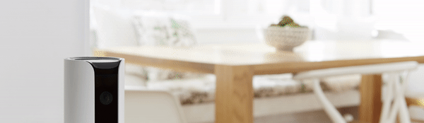 2WT_basic.gif