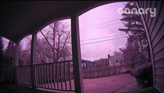 pinkvideo.png